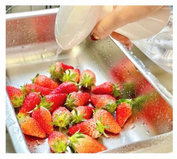 EC直販限定　オゾン水スプレー「Enozo(イノゾ)」に日常使いモデル「Enozo Daily(イノゾデイリー)」が新登場！