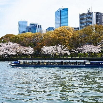水都大阪の春の風物詩！大川沿いの桜並木を巡るお花見クルーズ、2/1（火）予約開始！