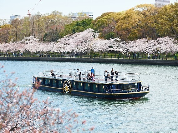 水都大阪の春の風物詩！大川沿いの桜並木を巡るお花見クルーズ、2/1（火）予約開始！