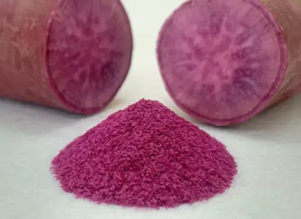 大腸に特化した新しい腸活サプリ「panana」がついに2月8日より販売開始