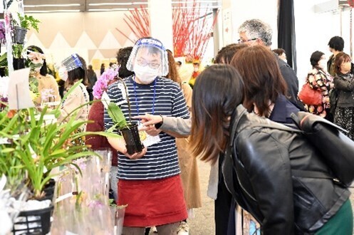 満開の蘭が会場を埋め尽くす国内最大級の“蘭の祭典”で心躍るお花見を「世界らん展2022‐花と緑の祭典‐」