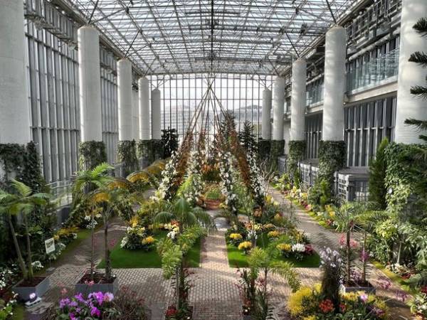 特別展・蘭展「あわじオーキッドフェスティバル」開催！日本初※の展示となる蘭があわじグリーン館で公開