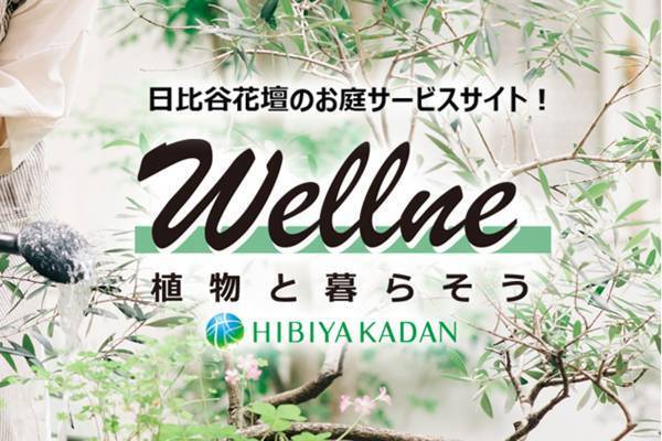 日比谷花壇初の個人邸宅向けお庭づくりの総合サービス「ウェルネ」を2月3日（木）から本格展開〜ちょっと良い暮らしをお庭から。「植物と暮らそう」〜