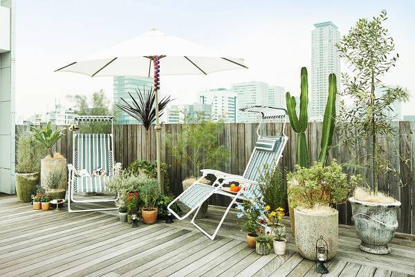 日比谷花壇初の個人邸宅向けお庭づくりの総合サービス「ウェルネ」を2月3日（木）から本格展開〜ちょっと良い暮らしをお庭から。「植物と暮らそう」〜