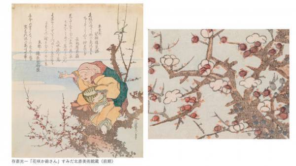 すみだ北斎美術館、北斎や弟子が描いた桜をはじめ、四季の花々を展示する「北斎花らんまん」を開催　＜期間：3月15日(火)～5月22日(日)＞