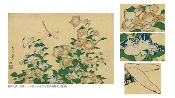 すみだ北斎美術館、北斎や弟子が描いた桜をはじめ、四季の花々を展示する「北斎花らんまん」を開催　＜期間：3月15日(火)～5月22日(日)＞