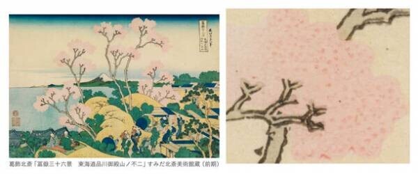 すみだ北斎美術館、北斎や弟子が描いた桜をはじめ、四季の花々を展示する「北斎花らんまん」を開催　＜期間：3月15日(火)～5月22日(日)＞