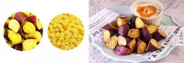 厳選した素材の美味しさや使いやすさを追求！小容量や素材系の商品などケンコーマヨネーズ 2022年春夏向け 業務用新商品16品を2月15日より発売