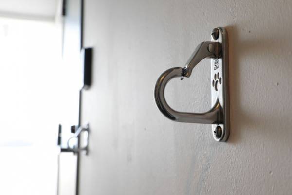 ペットと人も主役になれる賃貸マンション「INSIGHT REPOS」にペットショップやフリールームがオープン！