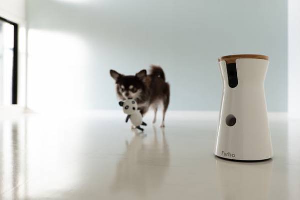 ペットと人も主役になれる賃貸マンション「INSIGHT REPOS」にペットショップやフリールームがオープン！