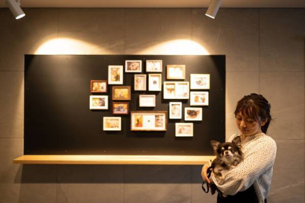 ペットと人も主役になれる賃貸マンション「INSIGHT REPOS」にペットショップやフリールームがオープン！