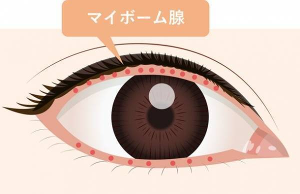 意外と知らない！？毎日のアイメイクで気をつけたいポイント　瞳を大きく見せるメイク、実はドライアイを深刻化させている可能性　目に優しいアイメイクとケア方法を“瞳の保湿ベール”を乱す原因と共に解説