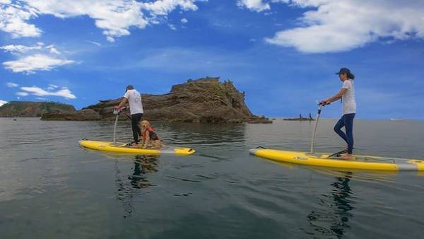 2022年4月21日オープン！グランピングリゾート「BAYSIDE KANAYA」宿泊予約が好調　開業記念特別プラン発表・オフィシャルHP最新情報更新・各種SNSアカウント開設