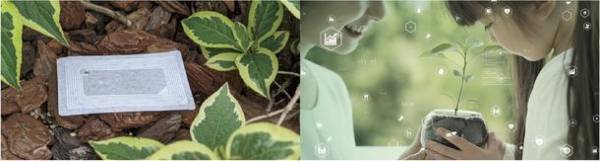 再生素材99％のリサイクルICカード提供開始　～勤怠管理や入退室で使用されるICカードを環境配慮型に～