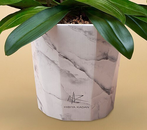 日比谷花壇オリジナルの大理石調デザイン資源として再利用可能な紙製の鉢「e-pot(エポット)」入りの3本立ち胡蝶蘭の注文受付を2月16日(水)から開始〜売り上げの一部を日本自然保護協会に寄付〜