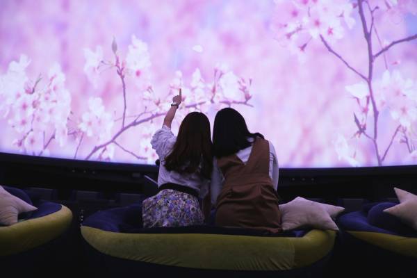 コニカミノルタプラネタリウム春イベント開催！都内3館同時企画  プラネタリウムでお花見気分！「桜ウェルカムドーム」満天NAGOYA　 “宇宙はラズベリーの香り”フェア！