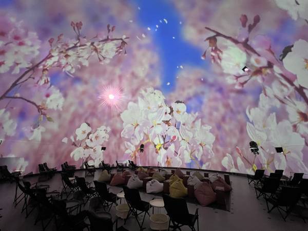 コニカミノルタプラネタリウム春イベント開催！都内3館同時企画  プラネタリウムでお花見気分！「桜ウェルカムドーム」満天NAGOYA　 “宇宙はラズベリーの香り”フェア！