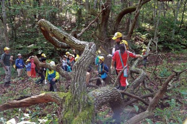 びっくりドンキーチェーン本部 株式会社アレフが運営するエコロジーテーマガーデン『えこりん村』が「第10回 みどりの社会貢献賞 特別賞」を受賞