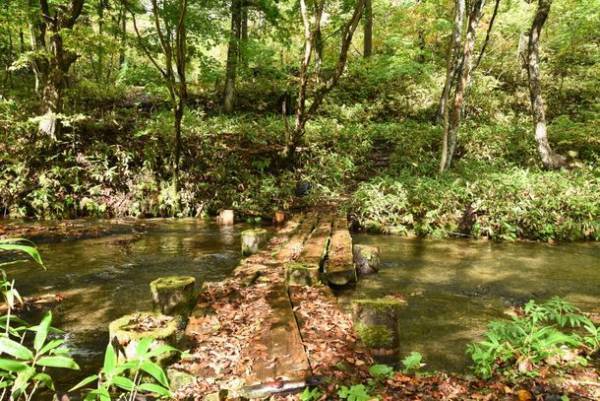 びっくりドンキーチェーン本部 株式会社アレフが運営するエコロジーテーマガーデン『えこりん村』が「第10回 みどりの社会貢献賞 特別賞」を受賞