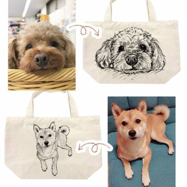 Instagramでペット写真を投稿　「第二回 Petomoフォトコンテスト」開催　2月25日まで作品募集中