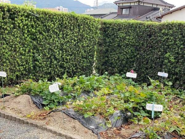 北九州・小倉北に、医療ケアが必要なお子さんとご家族を支援する重心型こどもデイサービス「ありすの家」オープン