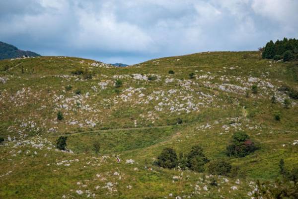 【秋吉台カルストトレイルランエクストリーム2022】2022年6月19日(日)開催！エントリー受付中！！
