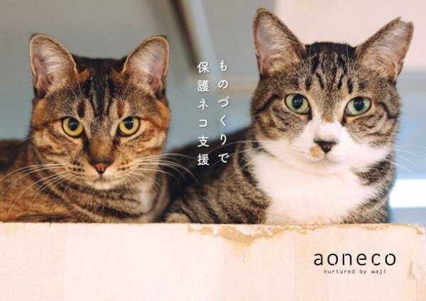 猫に恩返し！「aoneco×minaco sakamoto」のコラボ企画　保護ネコ支援プロダクトを2/18よりスタート