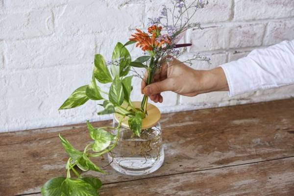 植物ブランド「WOOTANG」、コロナ禍で“癒し”を求める人が急増し『土を使わず水だけで育てる観葉植物』の売上が昨年比315％増