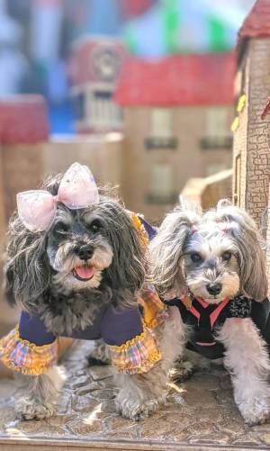 シェアしよう。いまからつながる、グッドなアイデア。『Share for good!』開催　3月はコピス吉祥寺でサステナブルに触れてみよう！開催期間：2022年3月1日(火)～3月31日(木)