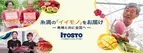 沖縄糸満市の特産品を取り扱うネットショップ「ITOSTO」が人気の「マンゴー」「沖縄そば」の無料プレゼントキャンペーンを実施！