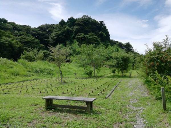 “自然の森をつくるお墓”　4/1より新しい合葬墓区画を販売開始