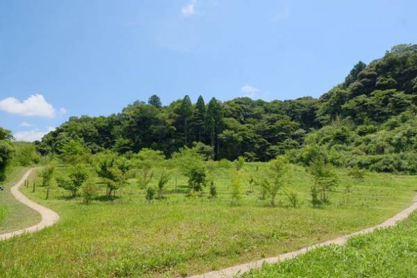 “自然の森をつくるお墓”　4/1より新しい合葬墓区画を販売開始