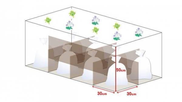 “自然の森をつくるお墓”　4/1より新しい合葬墓区画を販売開始