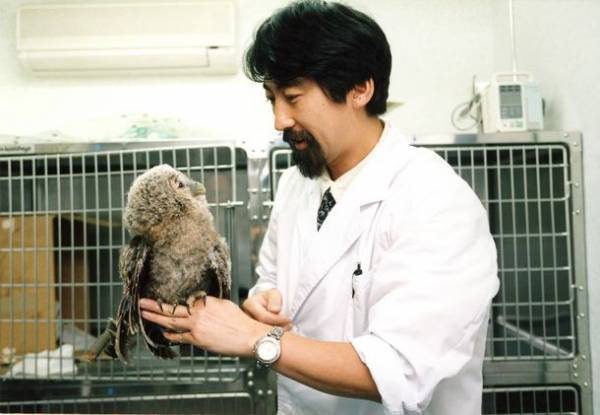 傷付いた野生動物を自然に帰すため、リハビリケージの拡充を目指しREADYFORにてクラウドファンディングを実施