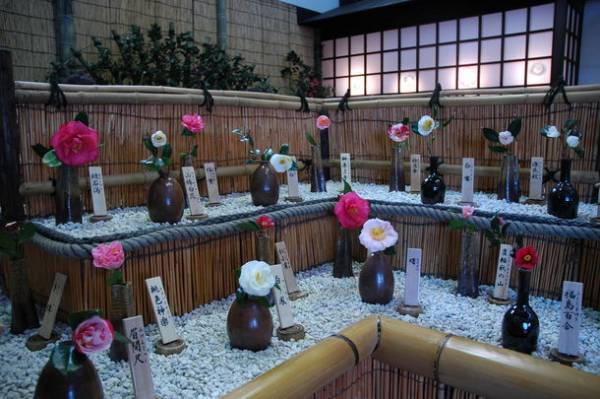 第35回つばき観賞会を静岡の小室山公園つばき園にて2月26日～3月21日開催