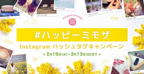 東海テレビ『#ハッピーミモザ』Instagramハッシュタグキャンペーン実施のお知らせ