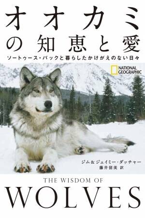 書籍『オオカミの知恵と愛ソートゥース・パックと暮らしたかけがえのない日々』発売中