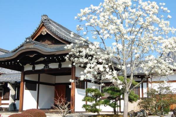 「シニア観光ガイド養成講座」受講者を3月31日(木)まで募集！～一緒に京都の名所を案内しませんか？～