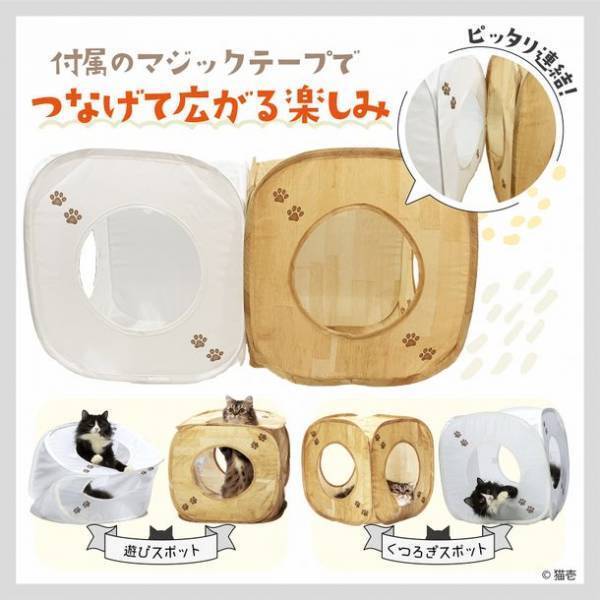 猫が大好き！カサカサ素材でできたキューブ型のおもちゃ　キャットプレイキューブが2022年2月下旬に新登場！～一度遊んだらやめられない！～