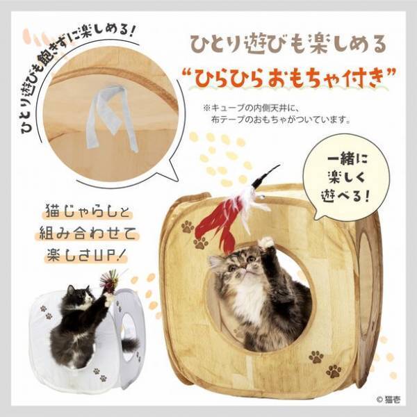 猫が大好き！カサカサ素材でできたキューブ型のおもちゃ　キャットプレイキューブが2022年2月下旬に新登場！～一度遊んだらやめられない！～