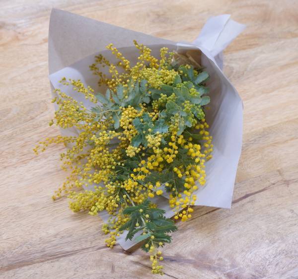 〜3月8日（火）は「国際女性デー」～幸せの黄色い花で女性を応援する「HAPPY YELLOW FAIR」対象商品の販売1点につき10円をHAPPY WOMAN基金へ寄付3月4日（金）から店頭で期間限定販売