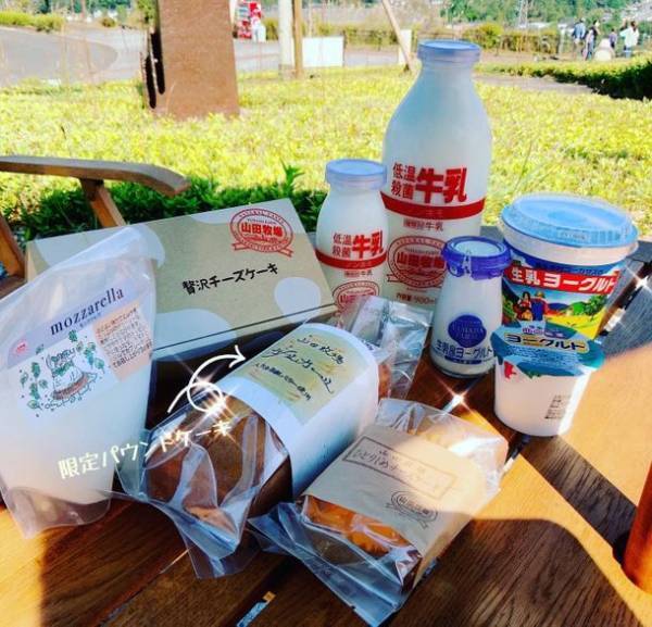 滋賀県立陶芸の森陶芸館にて3月5日(土)～6月9日(木)「ジャパン・スタイルー信楽・クラフトデザインのあゆみ」展を開催