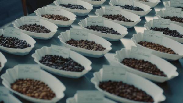 UCCブランドアンバサダー星野 源さんがコーヒーの“おいしい事実”を探るシリーズTVCM第二弾TVCMは“ロースティング”の秘密に迫る「COFFEE CREATION ロースティング篇」3月1日(火)より放映開始