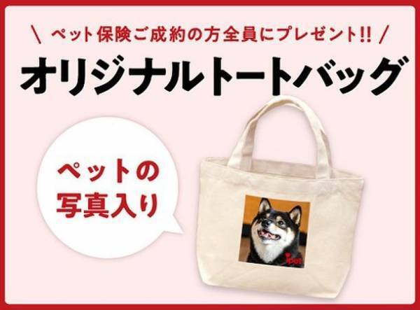 ライフカードでペット保険ご成約者全員にオリジナルトートバックプレゼントのキャンペーン実施中！