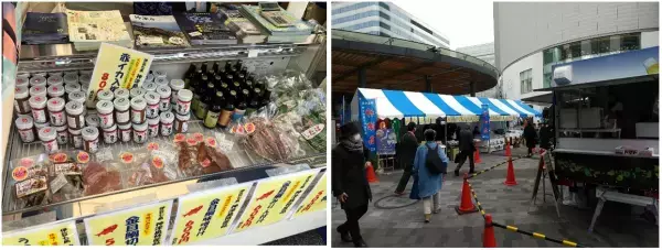 東京では唯一「星空保護区」認定！“世界に認められた星空”が見られる穴場・神津島。3/18（金）19（土）神津島フェア 有楽町駅前にて開催！