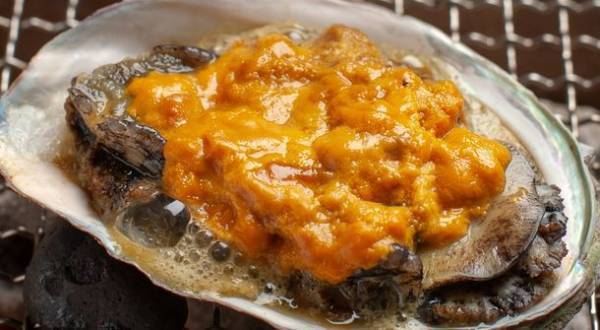 幻の赤ウニ尽くし会席 3月1日販売開始　壱岐の高級宿　壱岐リトリート 海里村上の夏限定プラン