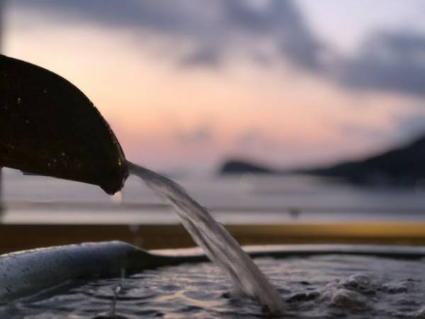 幻の赤ウニ尽くし会席 3月1日販売開始　壱岐の高級宿　壱岐リトリート 海里村上の夏限定プラン