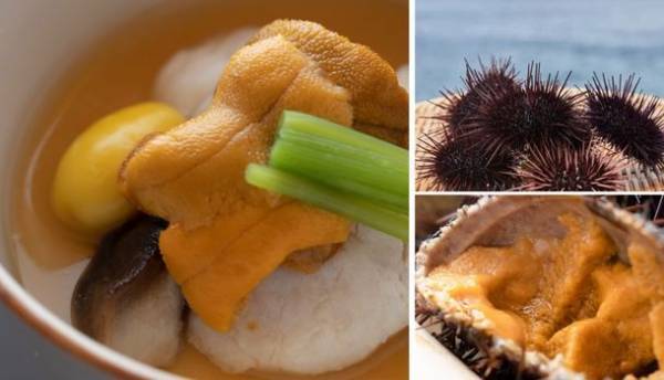 幻の赤ウニ尽くし会席 3月1日販売開始　壱岐の高級宿　壱岐リトリート 海里村上の夏限定プラン