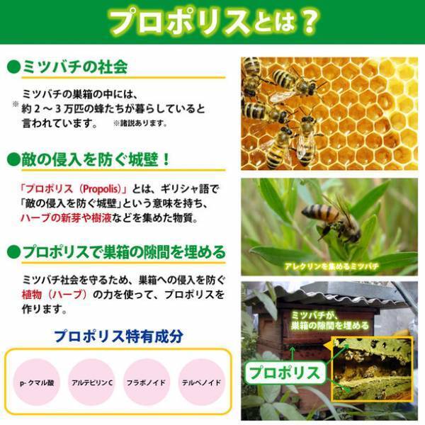 “声のプロ”声優／アナウンサー／歌手／俳優／芸人などが愛用　健康のど飴「プロポリスキャンディー」の姉妹品“プロポリス炭酸タブレット”3月1日に発売！