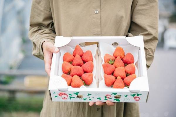 “ちょうどいい田舎”熊本県上益城のとてもいいものが大集合！「かみましきマルシェ」が蔦屋書店熊本三年坂で3月5日・6日開催